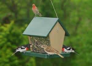 Hopper Bird Feeder