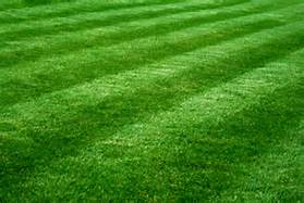 Aerated Lawns