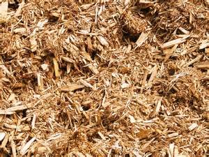 Cedar Mulch