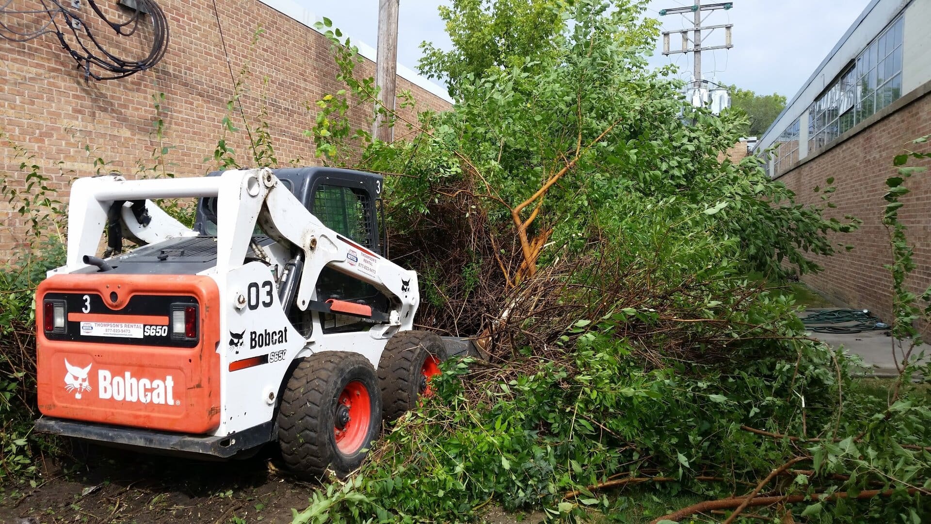 A white and orange Bobcat skid-steer loader is clearing a large pile of cut branches and green foliage near a brick building on a sunny day.
