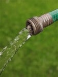 Hose