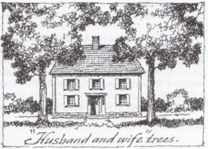 husband-and-wife-trees-300x215