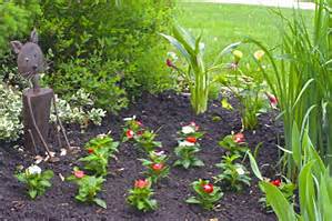 Newly Planted Perennials