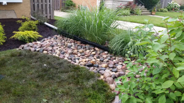 A rain garden with river rocks, tall grasses, a drainage pipe, and surrounding shrubs in a landscaped yard near a sidewalk.
