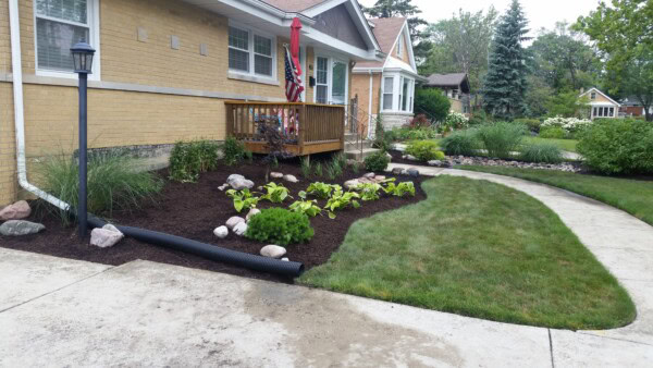 A landscaped front yard with green grass, mulch beds, small plants, rocks, a curved sidewalk, and a house with a porch and flags. A black drainage pipe runs along the mulch near the sidewalk.