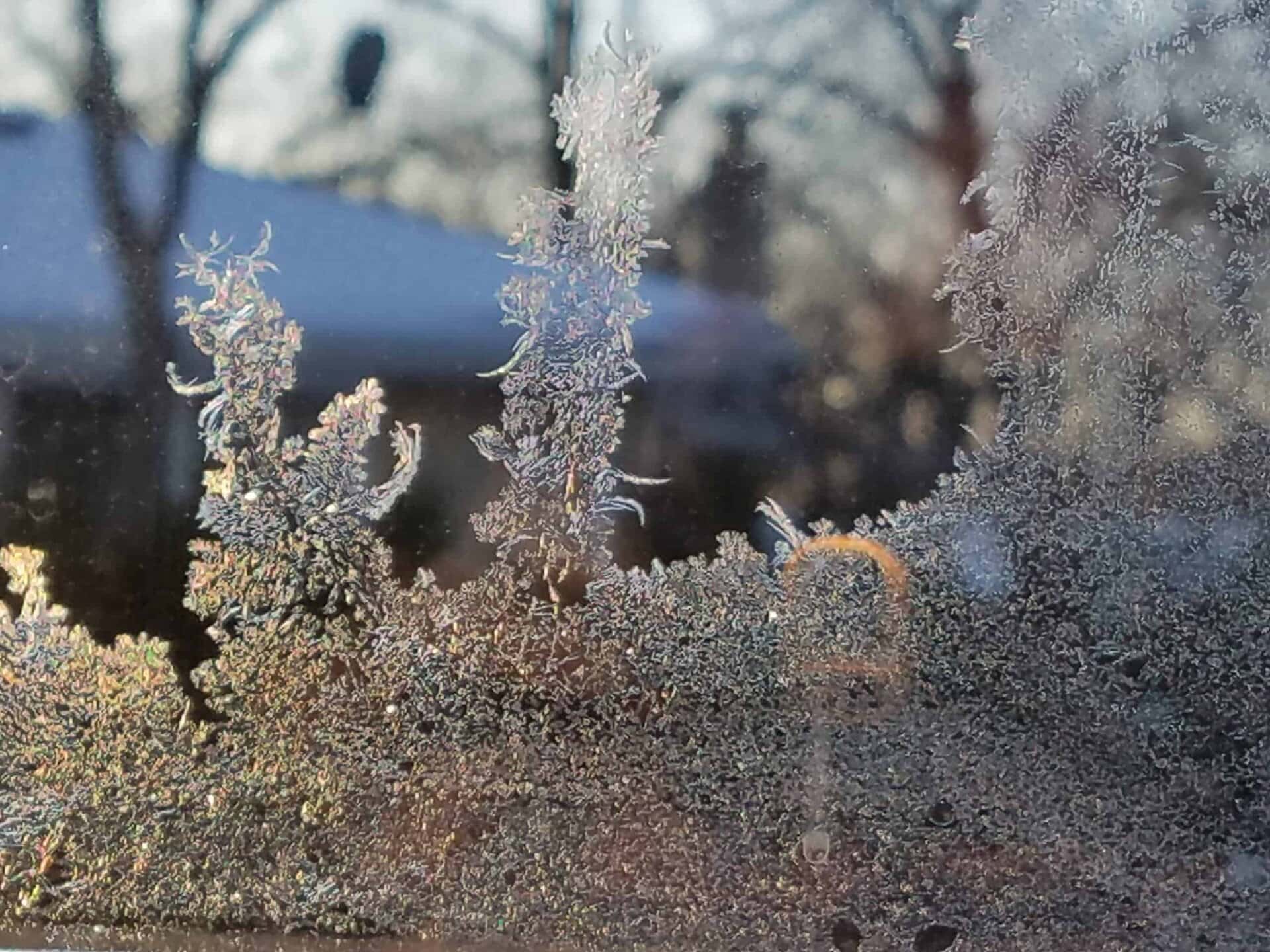 Frost crystals form intricate patterns on a window, with blurred trees and a house visible in the background, suggesting a cold winter morning.