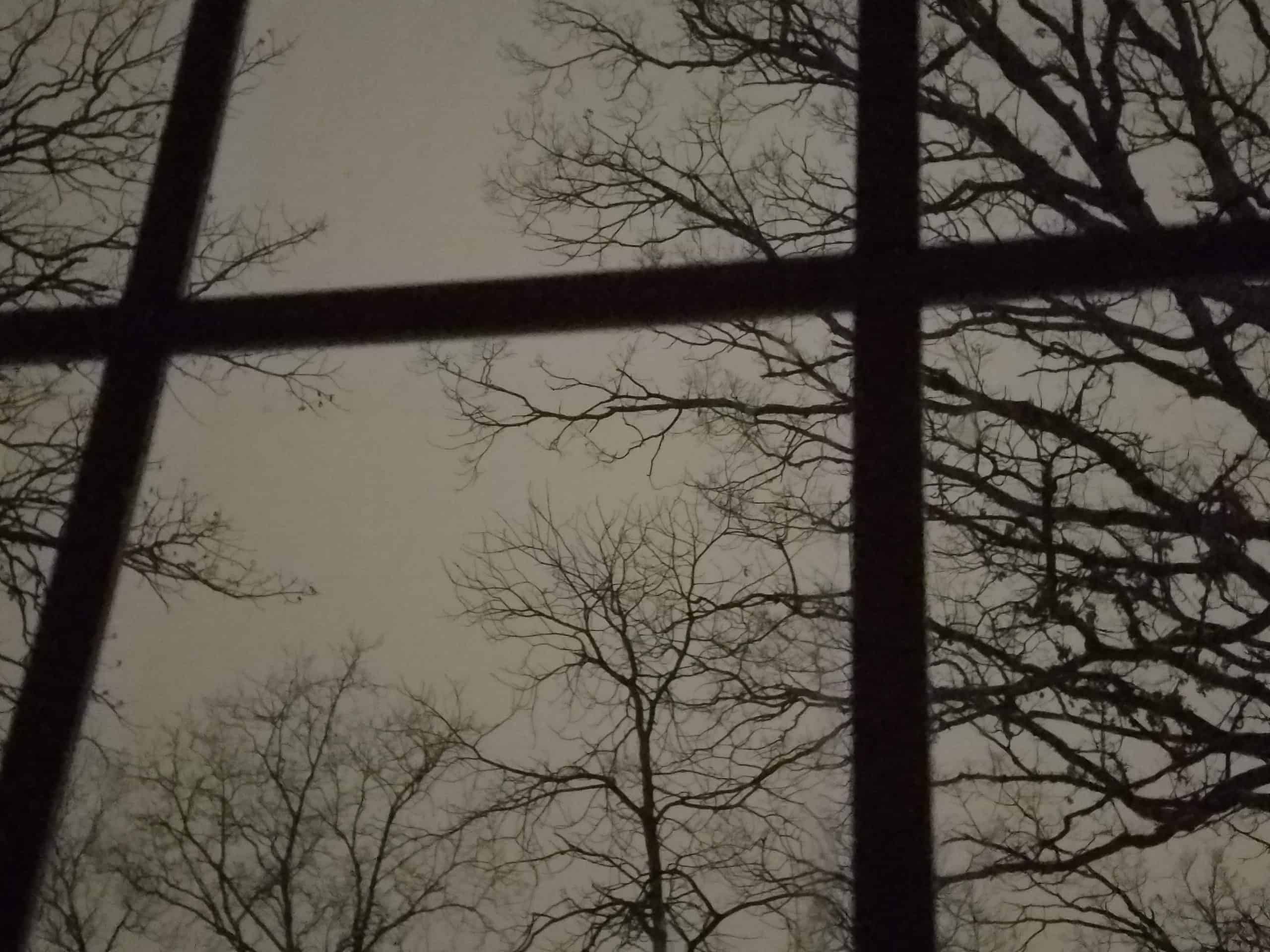 Bare tree branches are silhouetted against a cloudy, gray sky, viewed through a window divided into four panes by dark muntins.