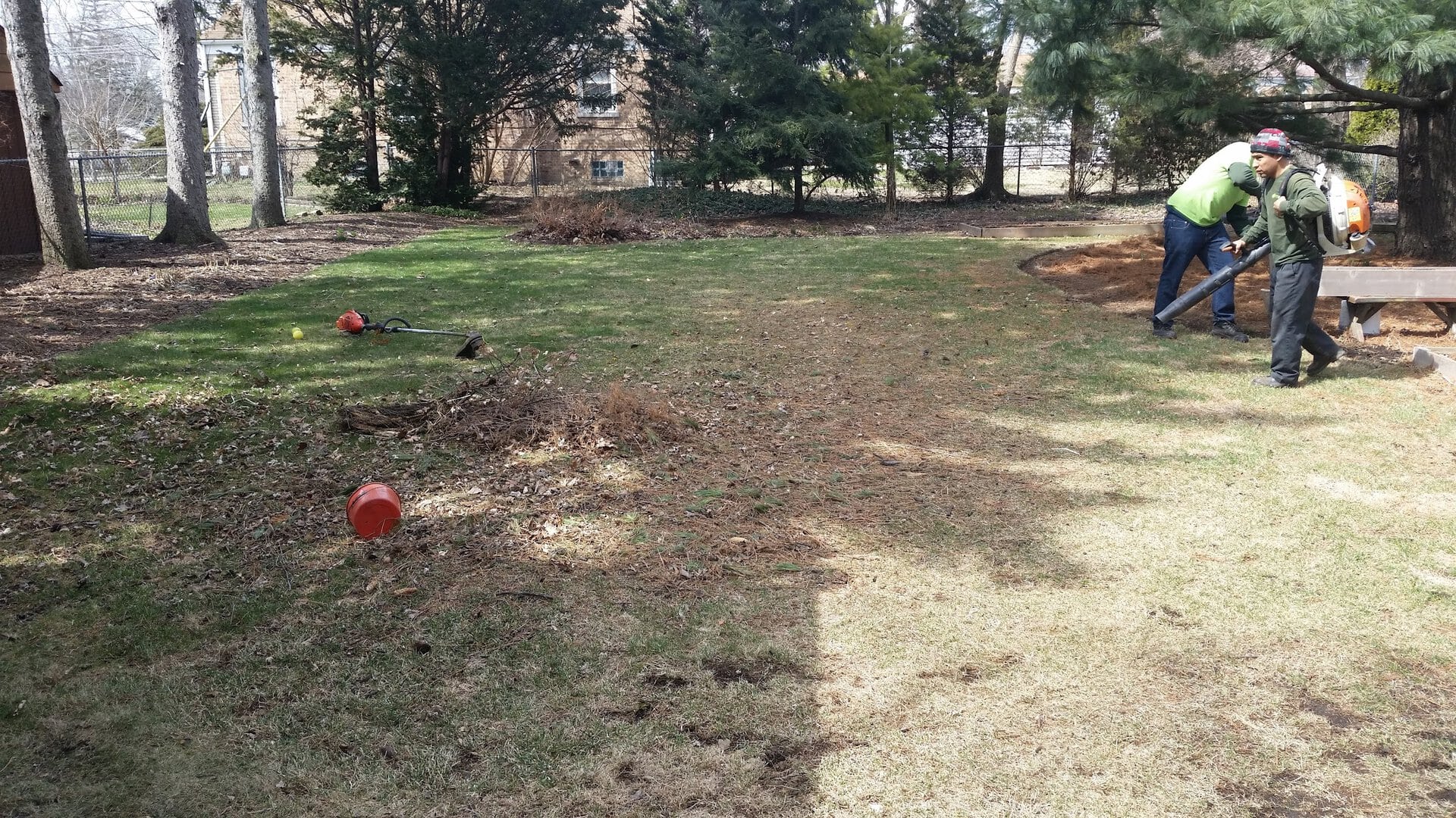 Two people using leaf blowers clean a grassy yard bordered by trees. A red bucket and lawn tools lie on the ground. There are shadows and piles of leaves scattered across the lawn.