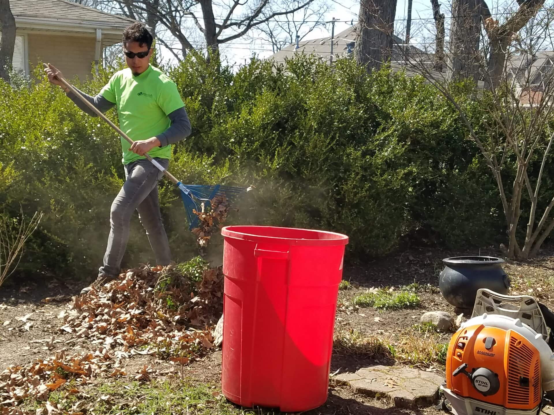 A person in a green shirt rakes dry leaves into a pile near a large red trash bin in a sunny yard, with bushes and trees in the background. A leaf blower sits on the ground nearby.