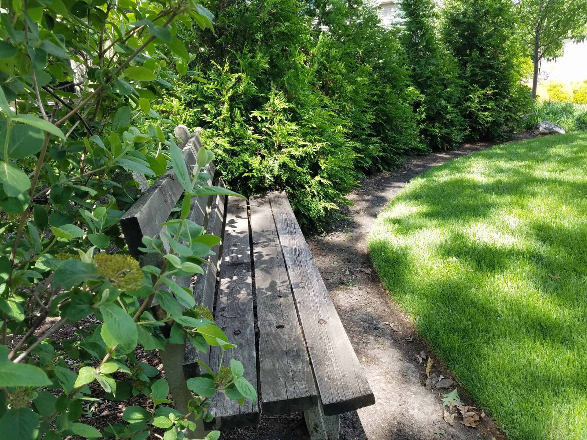 A weathered wooden bench sits beside a shaded dirt path, bordered by lush green bushes and grass in a peaceful garden setting.
