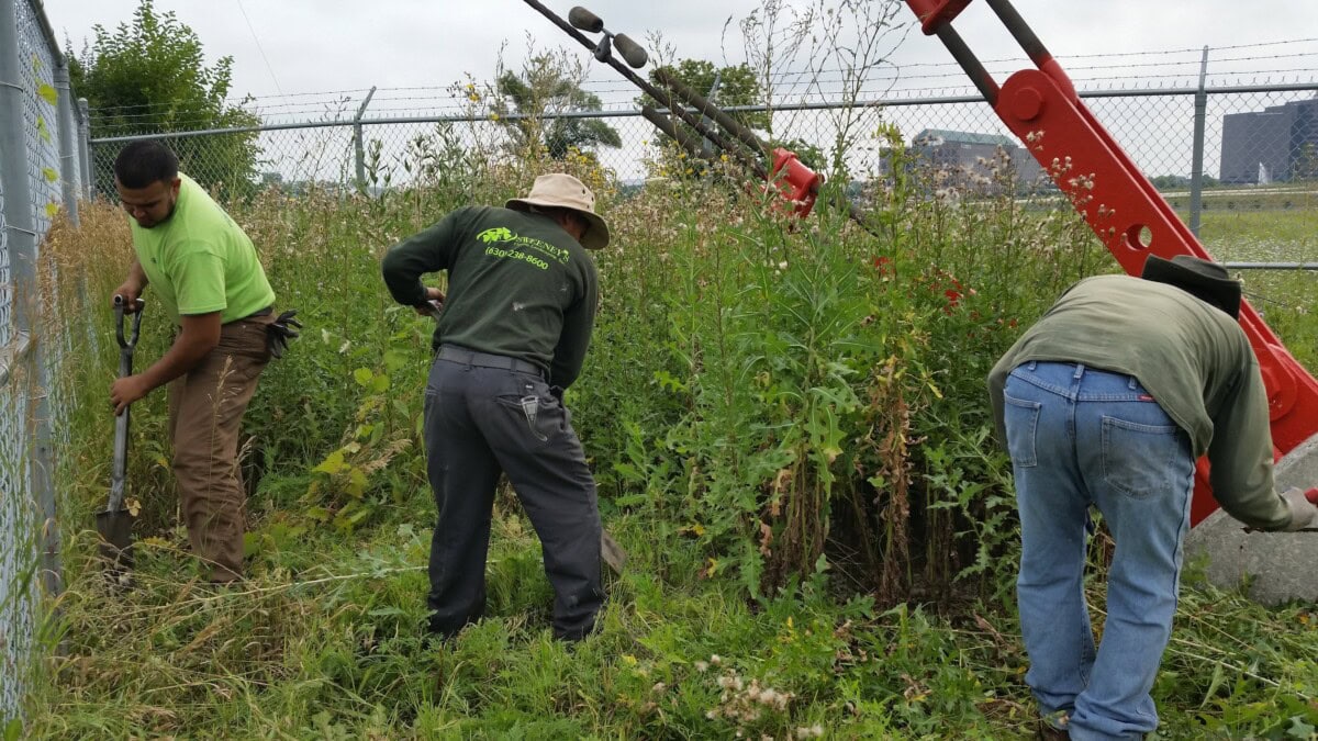 Three people wearing work clothes remove weeds and tall grass near a chain-link fence with tools. One person uses a shovel, another pulls plants, and the third bends over working. Machinery is visible on the right.