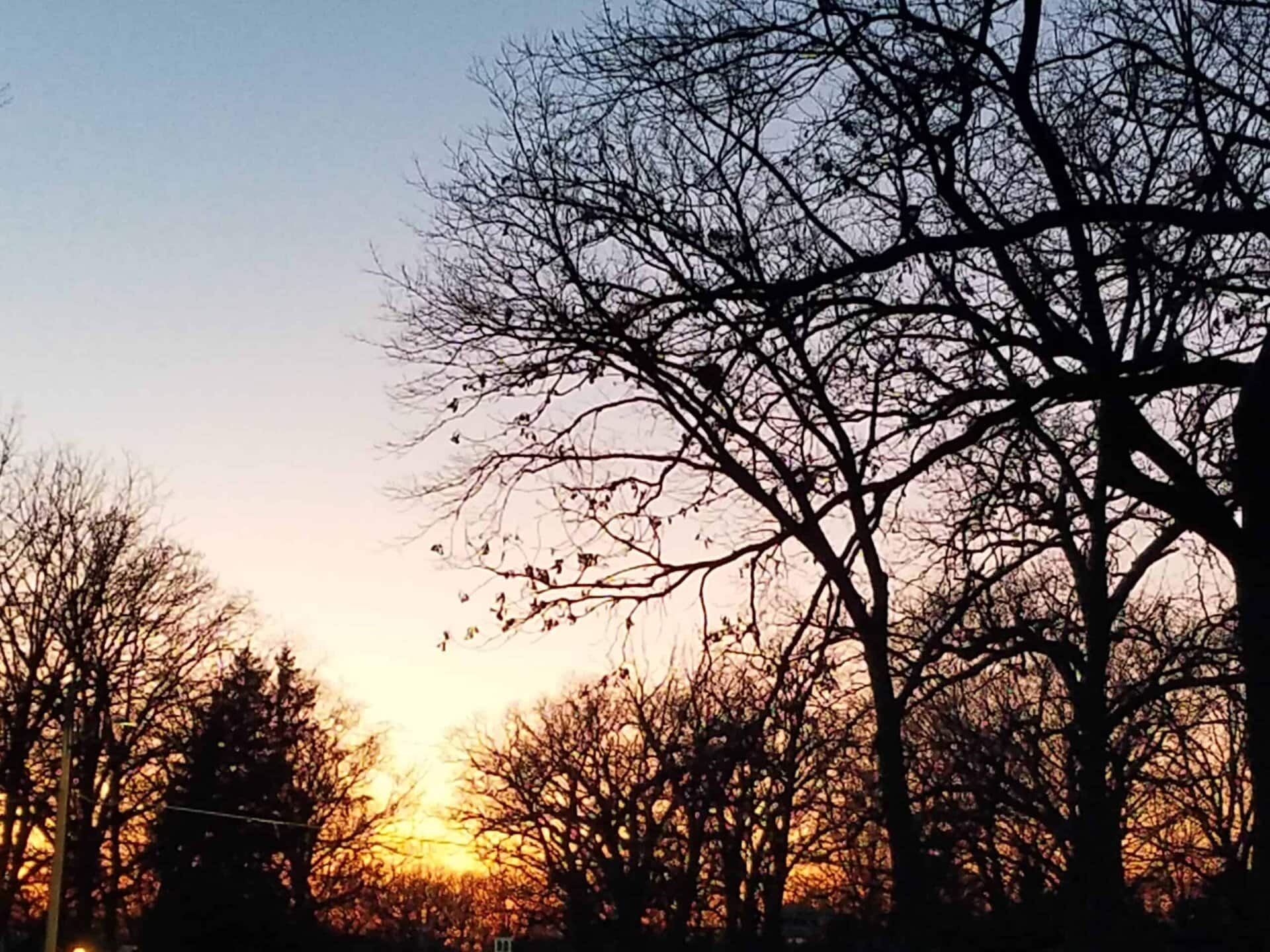 Leafless trees silhouetted against a colorful sunset sky, with shades of orange and yellow near the horizon fading into blue above.