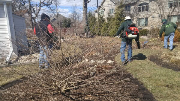 Three workers in jackets and hats use landscaping tools and a leaf blower to clean up a garden bed and lawn near houses on a sunny day. Bare shrubs and patches of grass are visible in the yard.