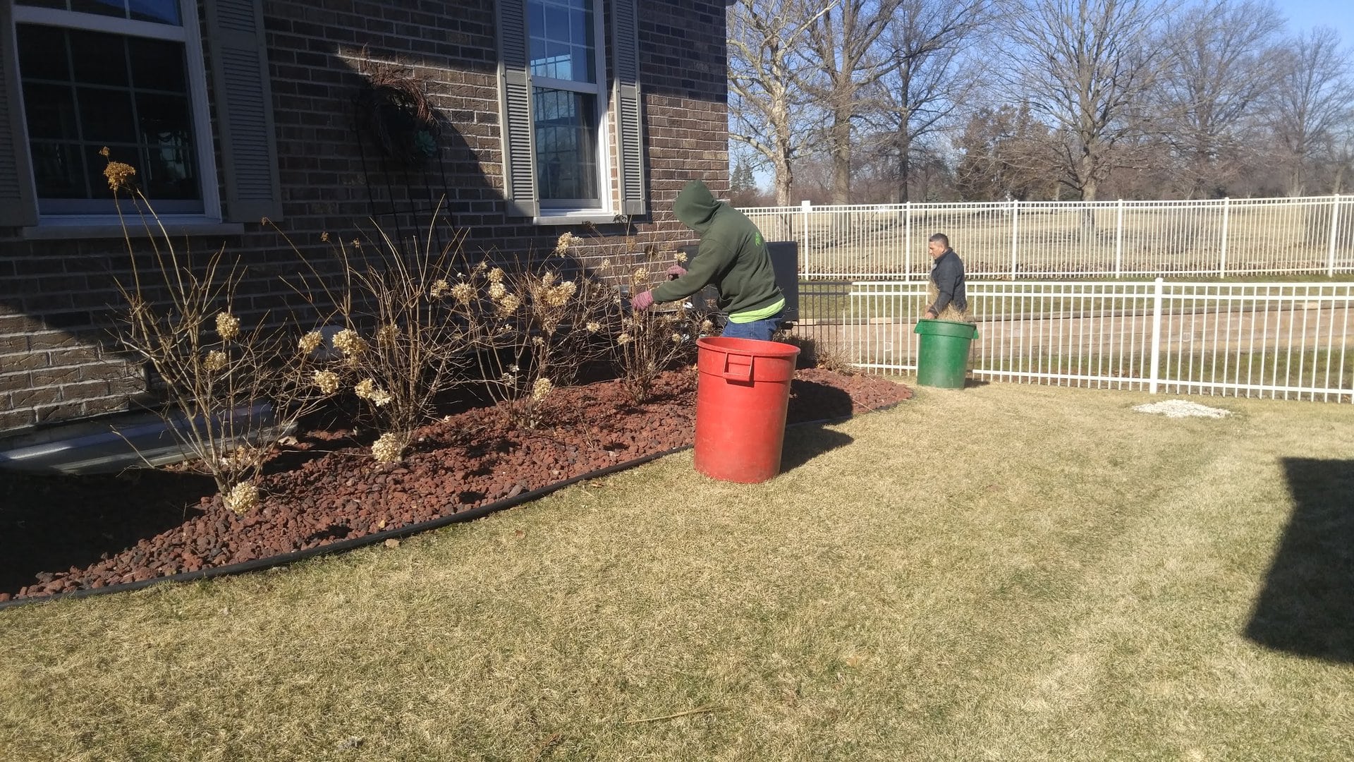 Two people working in a yard; one trims bushes beside a brick house, placing debris in a red bin, while another person stands near a green bin on the grass near a white fence.