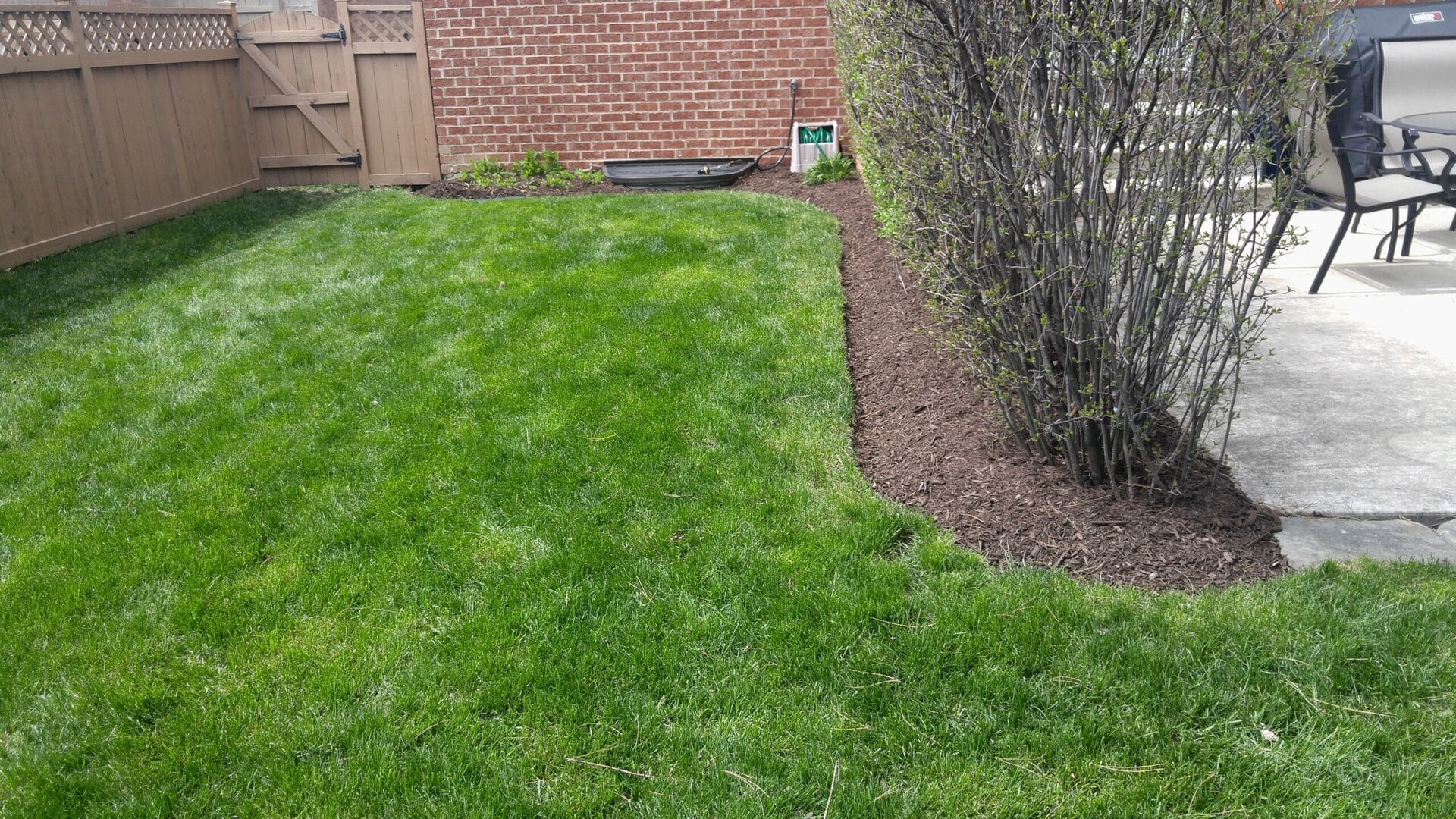 A backyard with green grass, a mulched garden bed with shrubs on the right, a wooden fence, and patio furniture on a concrete patio.