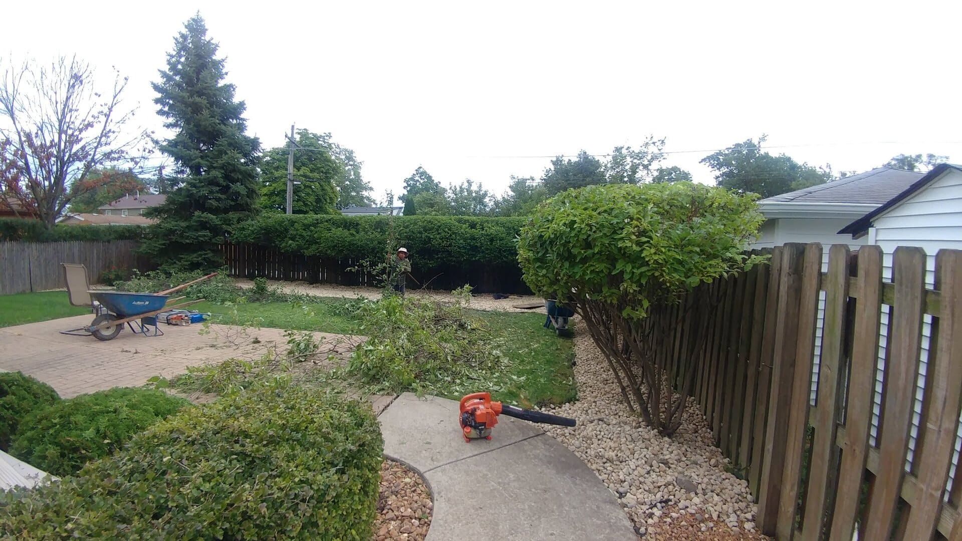 A person is trimming tall bushes in a backyard. Cut branches, a wheelbarrow, rake, and an orange leaf blower are visible on the ground. Theres a patio and wooden fence on the right. The sky is cloudy.