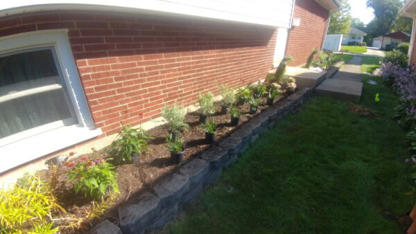 Several potted plants are arranged along a brick house, next to a window, ready to be planted in a mulched garden bed bordered by stone blocks. Grass and a sidewalk are visible on the right.