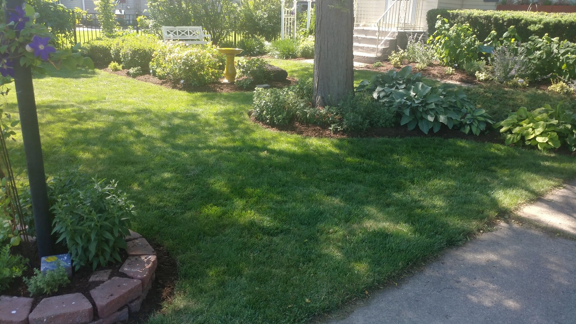 Sunny garden with green grass, a large tree, landscaped flower beds, a yellow bird bath, a white bench, and a pathway leading to a house with stairs in the background.
