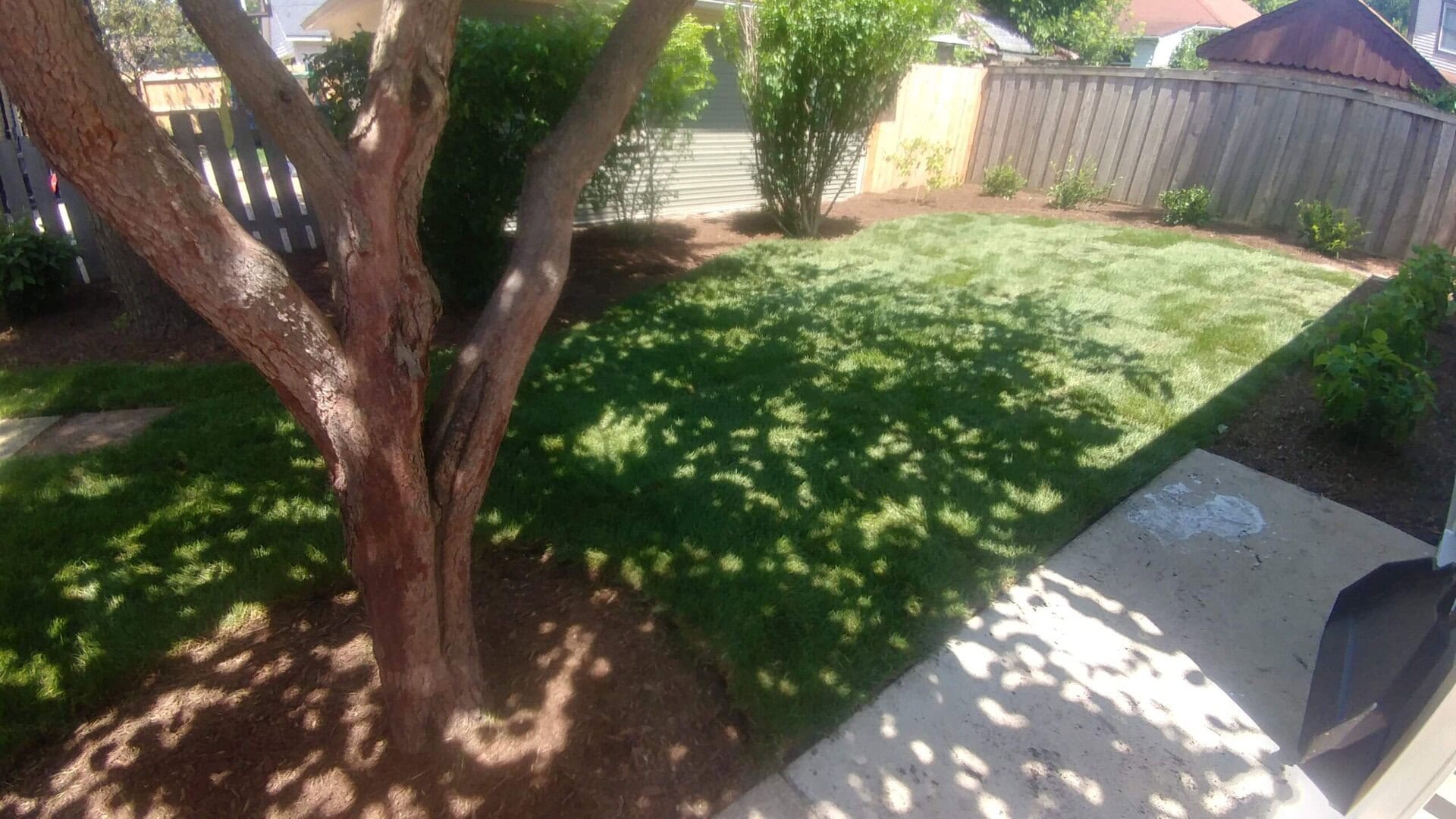 A shaded backyard with a large tree, a green lawn, garden beds along the fence, and a concrete patio. Sunlight filters through the tree branches, casting shadows on the grass.