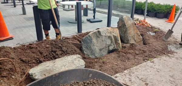 A person with a shovel is working on a garden bed with large rocks and soil near a sidewalk, orange traffic cones, and potted plants in the background.
