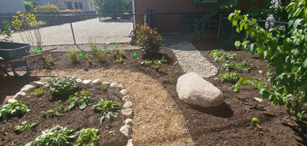A sunny backyard garden with mulched paths, a stone-bordered circular bed, young plants, a large rock, and a gravel area near a chain-link fence and brick building.