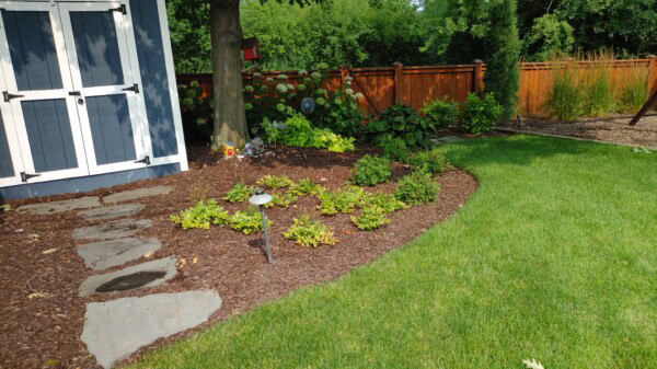 A landscaped backyard with green grass, a curved mulched garden bed with small plants, a tree, and a blue shed with white trim. A wooden fence lines the yard, and a stone path leads to the garden.