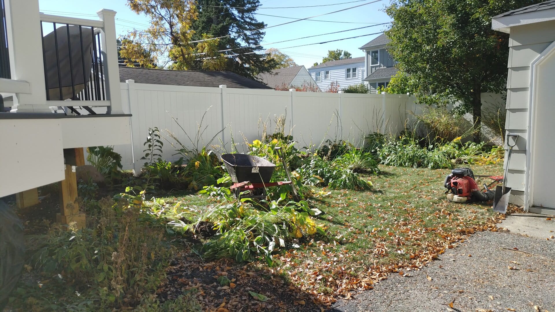 A backyard garden with scattered leaves, a red wheelbarrow, and a leaf blower on the grass. There is a white fence, trees, and parts of a house and deck visible in the sunlight.