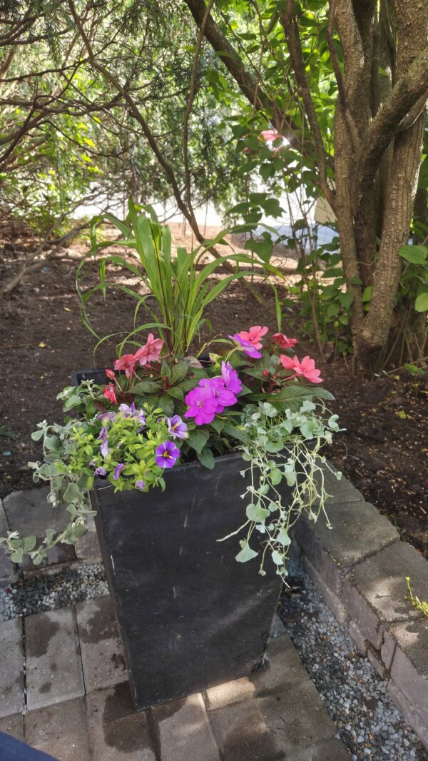 A black planter box with pink and purple flowers, green grass-like plants, and trailing vines sits on a stone patio, surrounded by trees and greenery.