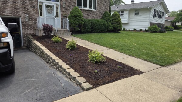 Front yard with a mulched garden bed, three small shrubs, concrete walkway, and steps leading to a brick house. Manicured lawn is on the right, with a parked white vehicle partially visible on the left.