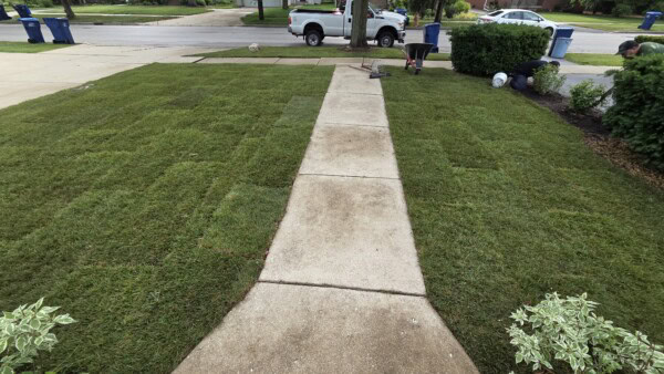 A freshly-laid sod lawn surrounds a concrete walkway. A person works near bushes on the right, tools and a wheelbarrow nearby. A white truck and blue bins are visible at the curb on a rainy street.
