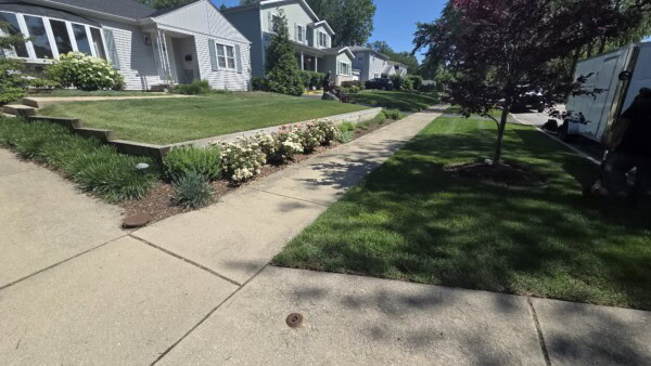A sunny suburban street with neatly trimmed lawns, blooming shrubs, and light-colored houses. A sidewalk runs alongside the lawns, and a tree casts a shadow on the grass. A trailer is parked on the street.