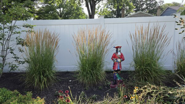 A colorful pirate statue stands among tall ornamental grasses in a garden, with a white fence and trees in the background.