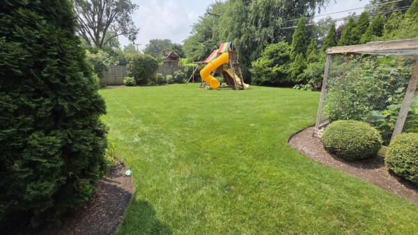A backyard with a green lawn, a playset featuring a yellow slide, trees, bushes, and a fenced garden on the right side.