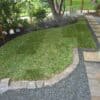 Backyard Watering