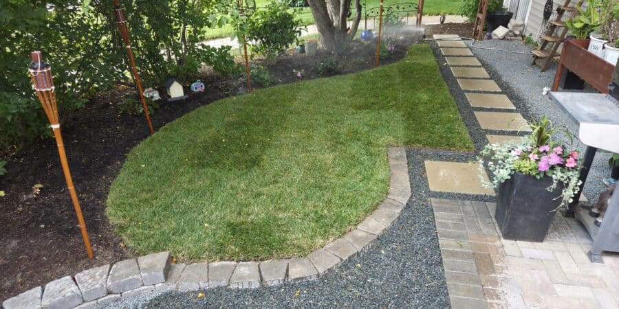 Backyard Watering