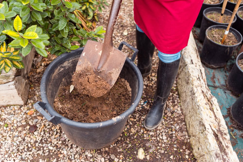 A person in boots and a red apron uses a shovel to move soil into a black plastic tub in a garden, surrounded by plants and gravel.