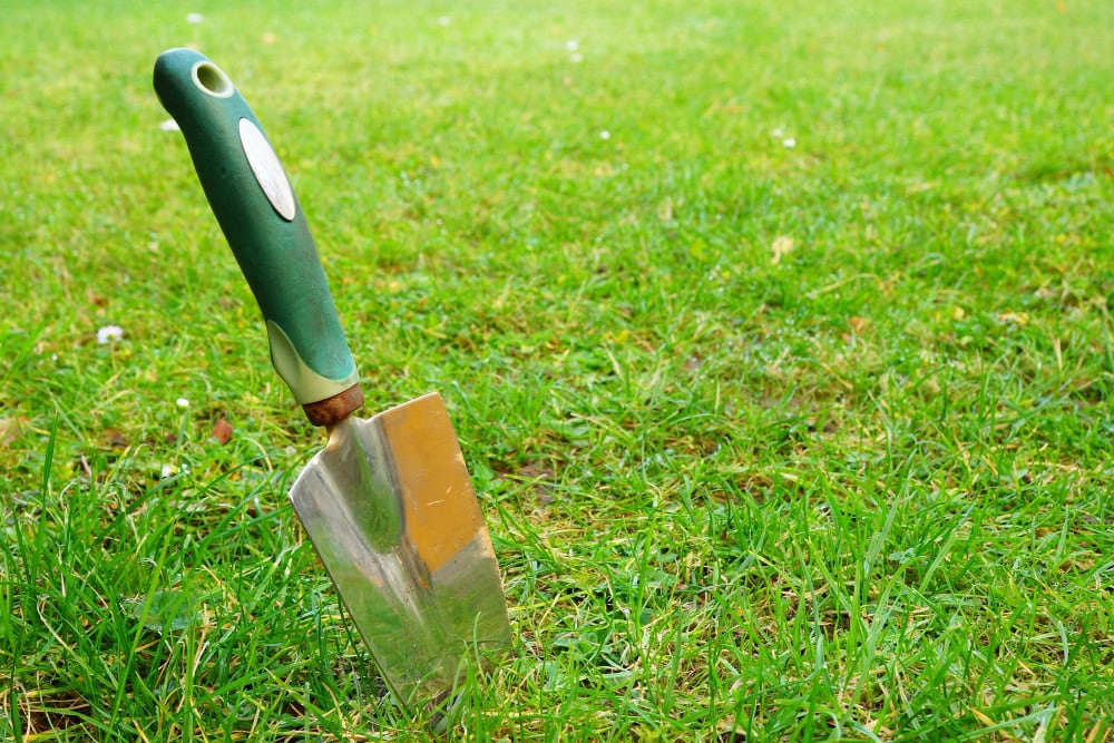 A gardening trowel with a green handle is stuck upright in the grass on a lawn.