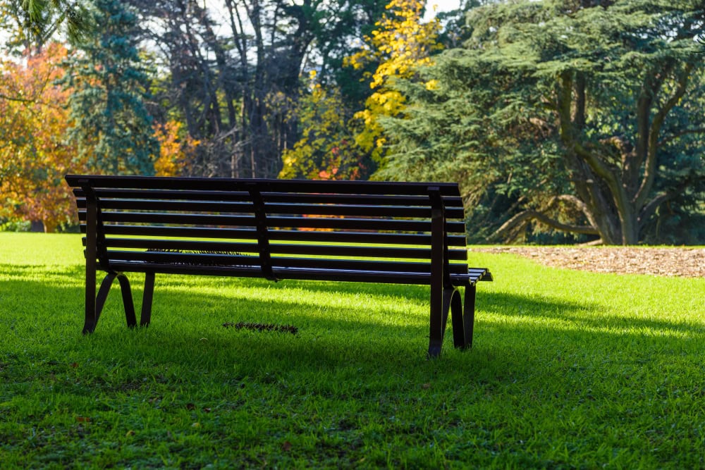 A wooden bench faces a sunlit park with green grass, large trees, and colorful autumn foliage in the background. Shadows from the bench and trees cover part of the lawn.