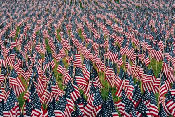 Hundreds of small American flags are planted closely together in rows on a grassy field, creating a patriotic display that stretches into the distance.