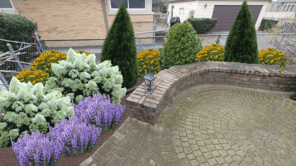A brick patio with a curved wall, bordered by green shrubs, marigold flowers, pale dusty miller plants, and purple salvia. A lantern sits on the wall, with houses and a garage in the background.