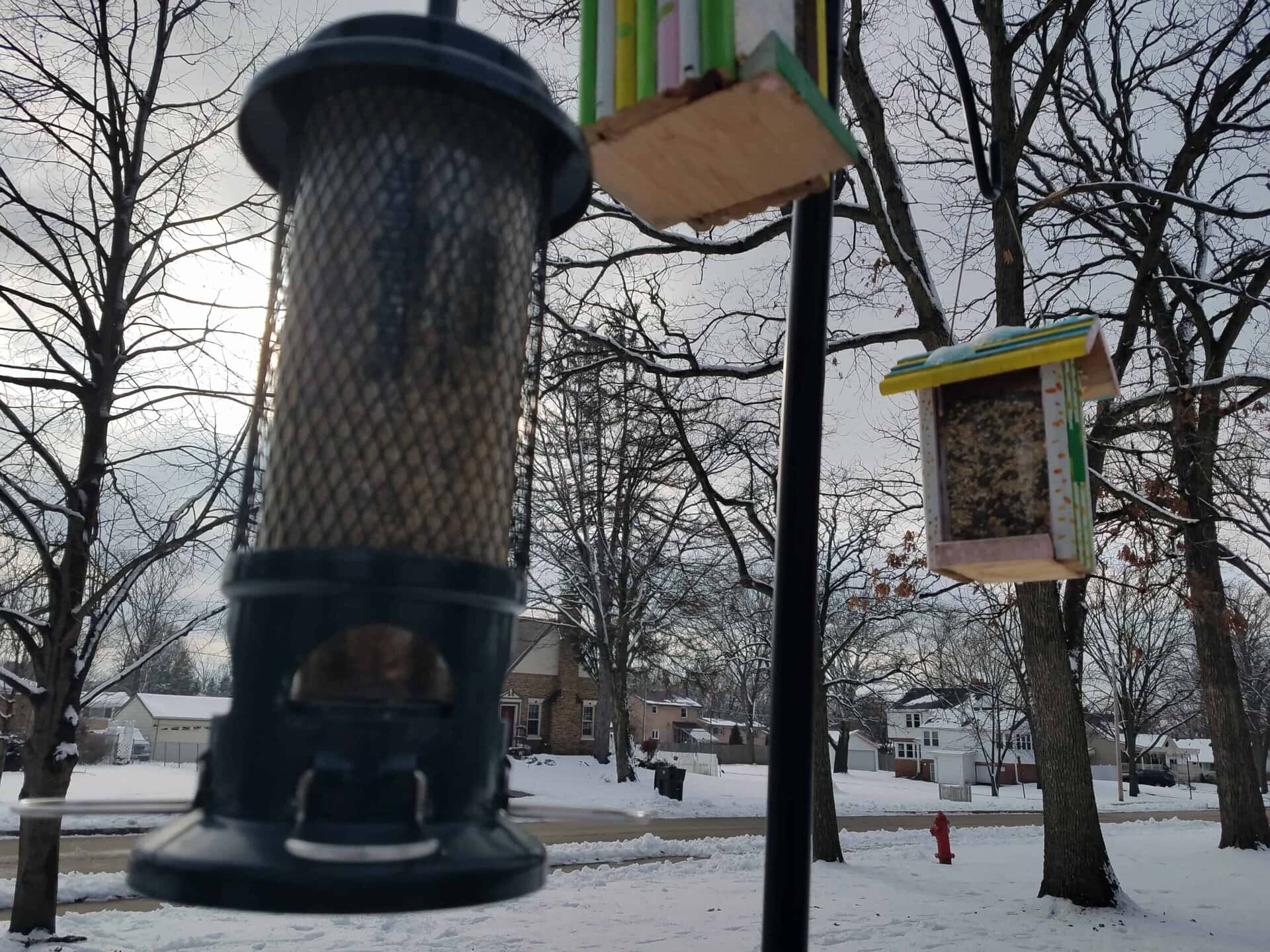 A close-up of two bird feeders hanging outdoors on a snowy day, with houses, leafless trees, and a cloudy sky in the background.