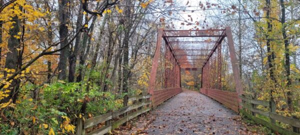 A metal truss bridge with wooden railings spans a forest path covered in fallen autumn leaves, surrounded by trees with yellow and green foliage.