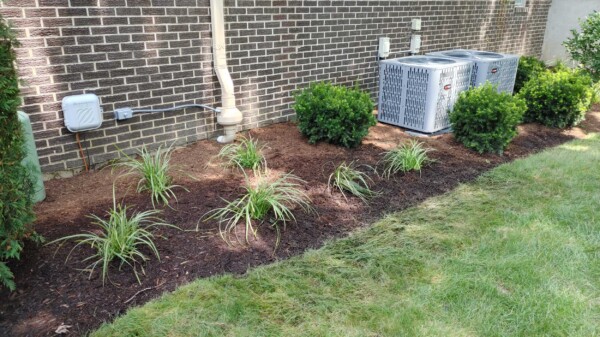 Small shrubs and ornamental grasses are planted in a mulched bed along a brick wall, near air conditioning units and utility boxes, bordered by green grass.