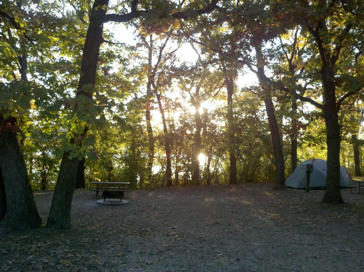 Camp Sweeney #4 A campsite with a tent and picnic table among tall trees, with sunlight shining through the leaves in the background.