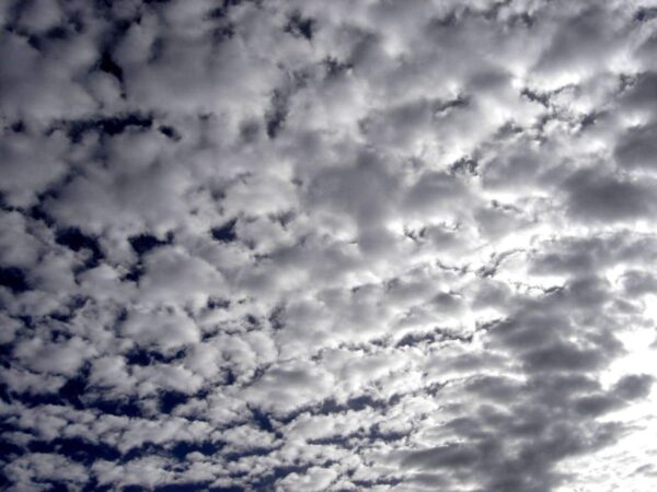 A sky filled with many small, fluffy clouds scattered across it, with patches of blue sky visible between the clouds.