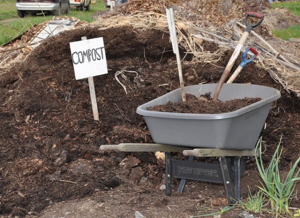 A wheelbarrow filled with compost sits beside a compost pile. Two shovels are stuck in the pile, and a white sign reading COMPOST is placed nearby. Grass and plants are in the foreground.