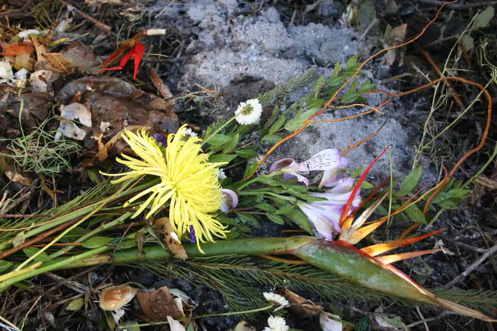 A close-up of various flowers, including a yellow chrysanthemum and bird of paradise, lying on the ground with soil, leaves, and small branches scattered around.
