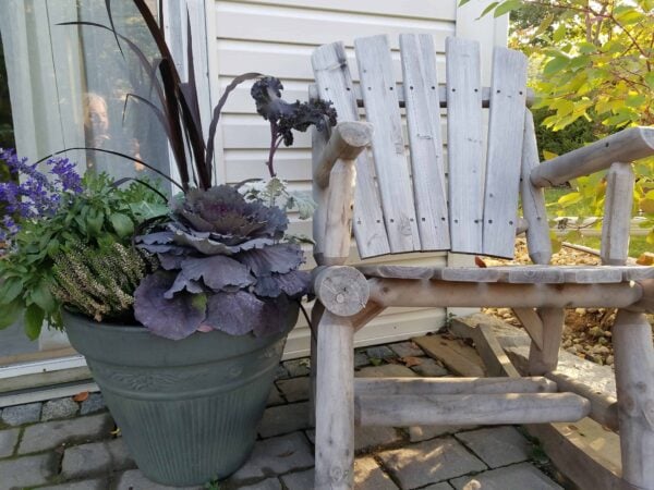 A weathered wooden chair sits on a stone patio next to a large planter filled with purple cabbage, kale, and various green and purple plants, beside a house with light siding.