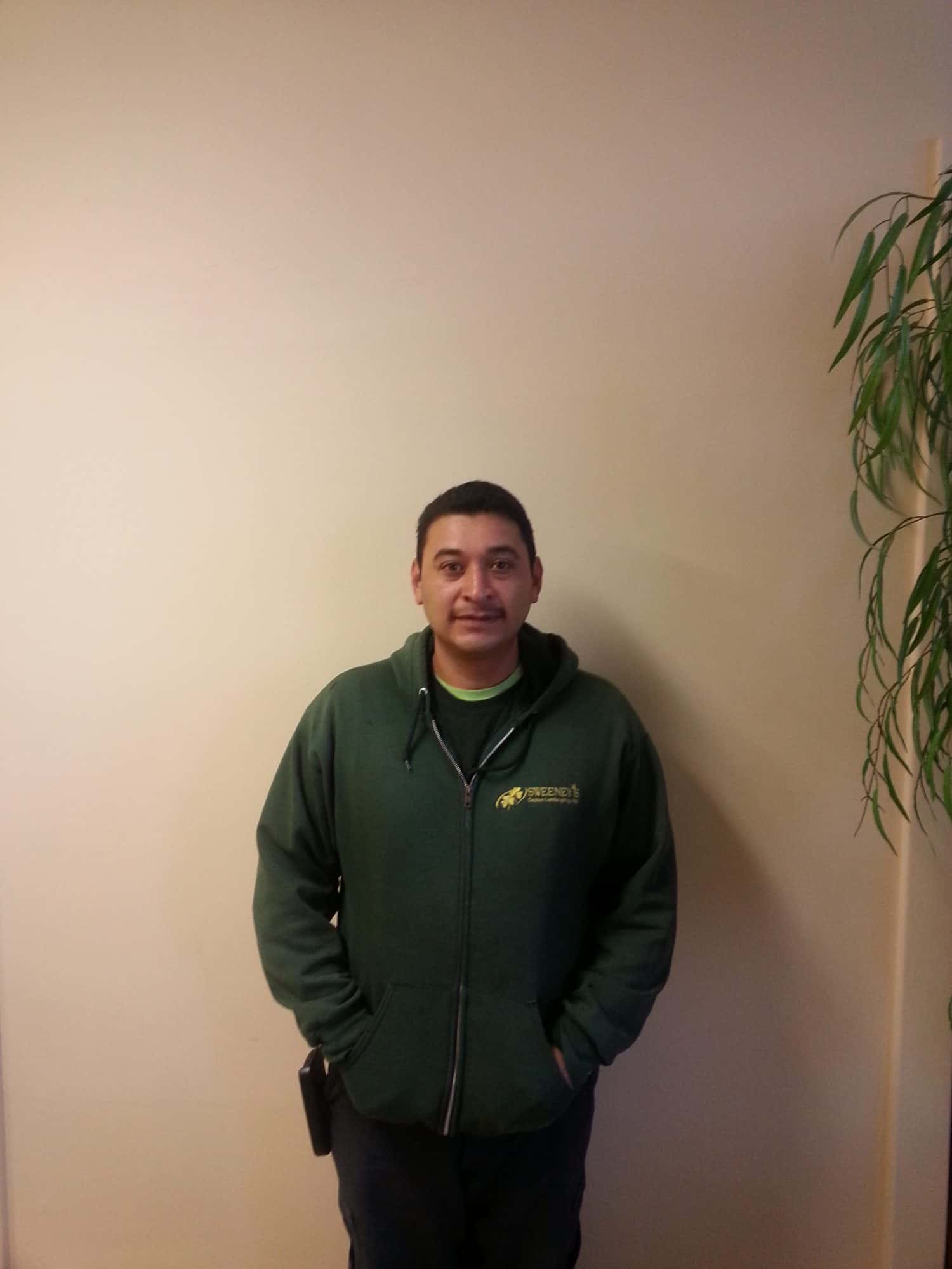 A person in a green zip-up hoodie stands against a plain beige wall with hands in pockets. A leafy plant is visible on the right side of the image.