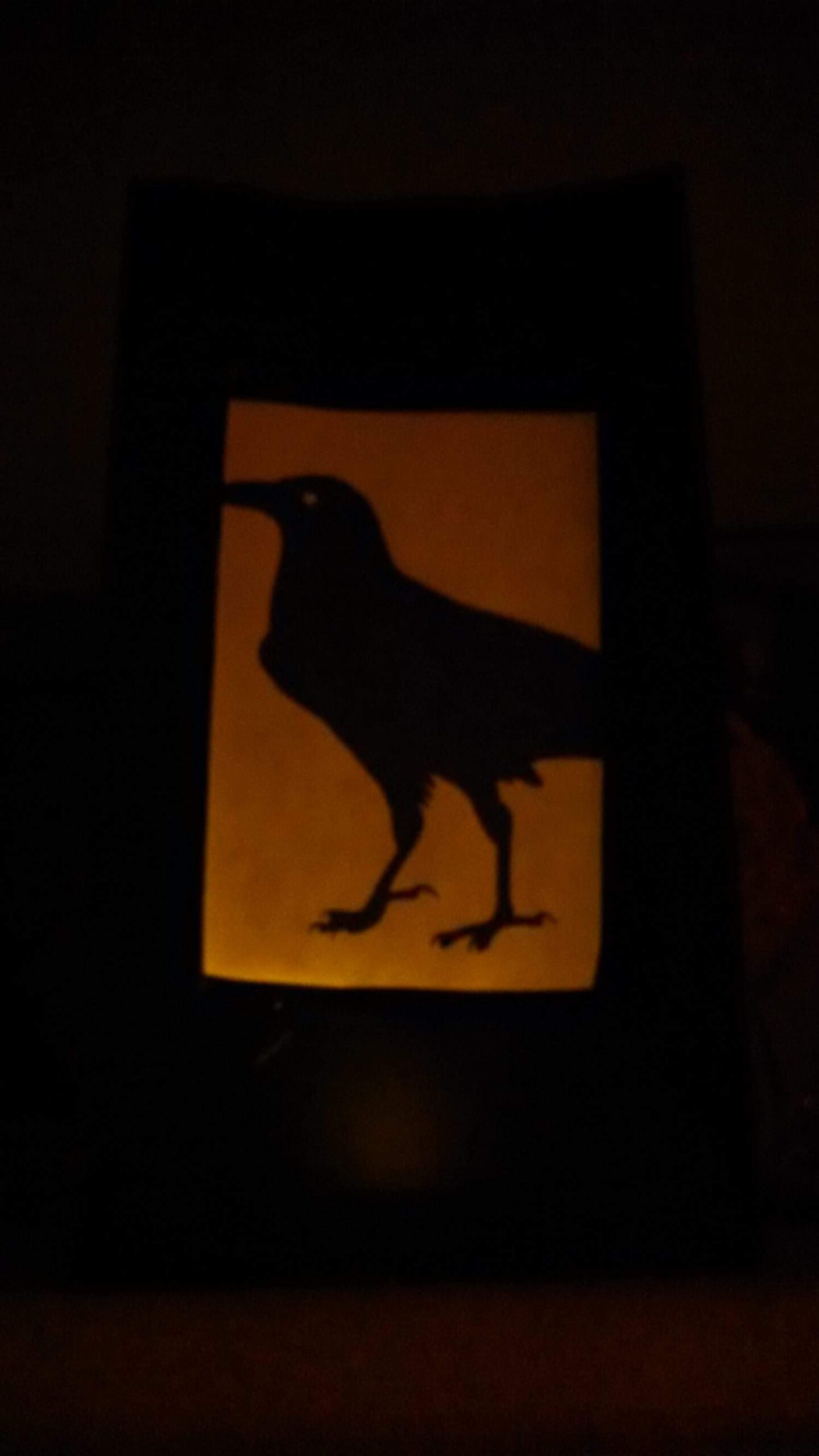 A dark silhouette of a crow is displayed against a warm yellow-orange background, creating a shadowy, dramatic effect in a dimly lit space.